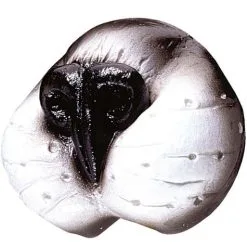 Pirates Sales Store 54 Funidelia Adult's Affectionate Cat Nose