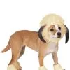 Funidelia Dogs Wampa Star Wars Costume -Pirates Sales Store dogs wampa star wars costume