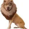 Funidelia Lion Costume For A Dog -Pirates Sales Store lion costume for a dog