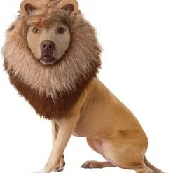 Funidelia Lion Costume For A Dog